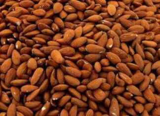 Almendras para bajar el colesterol: Cantidad diaria recomendada para la salud cardiovascular. almendras-para-bajar-el-colesterol-cantidad-diaria-recomendada-para-la-salud-cardiovascular