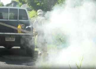 Aumento del Dengue en Panamá: Casos más Altos en 2024 aumento-del-dengue-en-panam-casos-ms-altos-en-2024