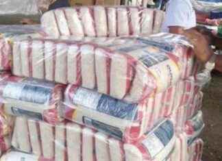 Compra y reventa irregular de arroz en el IMA: destituidos 7 funcionarios compra-y-reventa-irregular-de-arroz-en-el-ma-destituidos-7-funcionarios