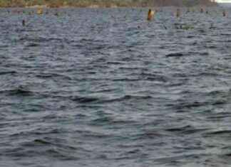 Cuerpo del tripulante indio encontrado en el lago Gatún cuerpo-del-tripulante-indio-encontrado-en-el-lago-gatn