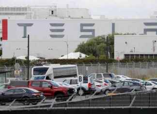Descenso de ventas de Tesla a nivel global en 2024: primera caída en más de 10 años descenso-de-ventas-de-tesla-a-nivel-global-en-2024-primera-cada-en-ms-de-10-aos