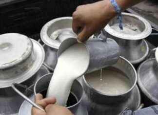 Estabilidad de precios en leche: Expectativas de ganaderos para 2025 estabilidad-de-precios-en-leche-expectativas-de-ganaderos-para-2025