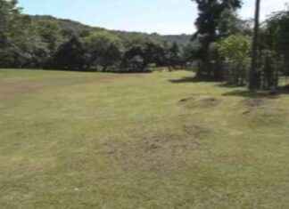 Fiesta de la Princesa de Cañazas: Espectáculo Viral con Show de Drones fiesta-de-la-princesa-de-caazas-espectculo-viral-con-show-de-drones