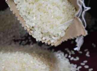 Futuro incierto para la producción de arroz nacional sin tecnología y apoyo futuro-incierto-para-la-produccin-de-arroz-nacional-sin-tecnologa-y-apoyo