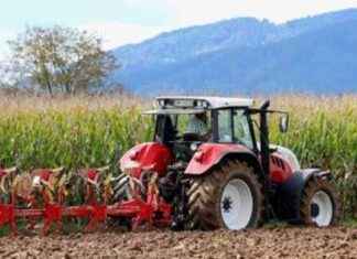 Panorama del sector agropecuario: Estrategias para el éxito panorama-del-sector-agropecuario-estrategias-para-el-xito