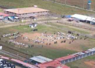 Plan del Sistema Penitenciario para descongestionar cárceles: Estrategias y medidas implementadas. plan-del-sistema-penitenciario-para-descongestionar-crceles-estrategias-y-medidas-implementadas