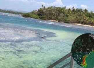 Plataforma para monitorear algas con inteligencia artificial y drones en Panamá plataforma-para-monitorear-algas-con-inteligencia-artificial-y-drones-en-panam