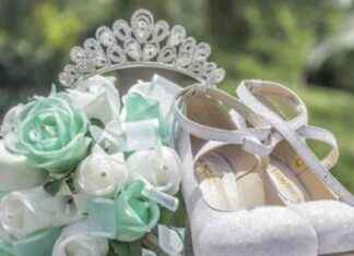 Princesa de El Gavilán de Cañazas: La Fiesta de 15 Años más Viral princesa-de-el-gaviln-de-caazas-la-fiesta-de-15-aos-ms-viral