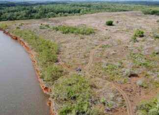 Puerto Barú: Apoyo de gremios a decisión de la Corte; críticas de ambientalistas puerto-bar-apoyo-de-gremios-a-decisin-de-la-corte-crticas-de-ambientalistas
