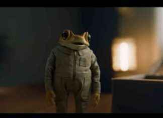 ¿Quién es Concho? El sapo del nuevo álbum de Bad Bunny que captó la atención. quin-es-concho-el-sapo-del-nuevo-lbum-de-bad-bunny-que-capt-la-atencin