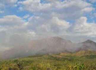 Recompensa de $3 mil por incendio en cerro Guacamaya recompensa-de-3-mil-por-incendio-en-cerro-guacamaya