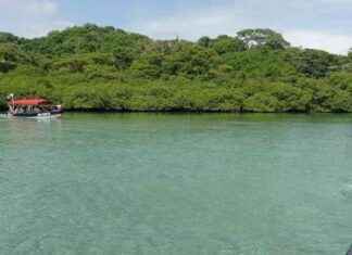 Regulación de navegación de embarcaciones para vigilancia de ecosistemas marinos regulacin-de-navegacin-de-embarcaciones-para-vigilancia-de-ecosistemas-marinos