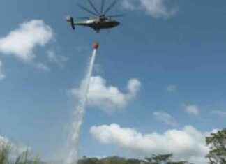Simulacro de bomberos para incendios de masa vegetal: protocolo y entrenamiento simulacro-de-bomberos-para-incendios-de-masa-vegetal-protocolo-y-entrenamiento