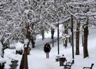 Tormenta peligrosa causará nevadas, hielo y frío intenso en EEUU tormenta-peligrosa-causar-nevadas-hielo-y-fro-intenso-en-eeuu