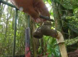 Trabajos de Idaan para garantizar agua potable en Parita durante verano. trabajos-de-daan-para-garantizar-agua-potable-en-parita-durante-verano