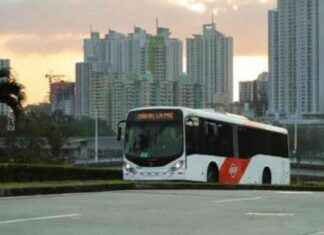 Transporte público en 2024: MiBus busca expandir cobertura con nuevas rutas transporte-pblico-en-2024-mibus-busca-expandir-cobertura-con-nuevas-rutas