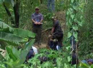 Aumento de decapitaciones en Panamá en 2025: ¿Qué está pasando? aumento-de-decapitaciones-en-panam-en-2025-qu-est-pasando