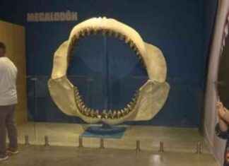 Biomuseo: Opción educativa y entretenida para vacaciones biomuseo-opcin-educativa-y-entretenida-para-vacaciones