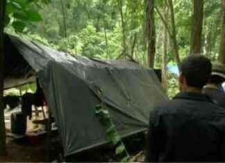 Operativo desarticula red de minería ilegal en Darién – Panamá y Colombia operativo-desarticula-red-de-minera-ilegal-en-darin-panam-y-colombia