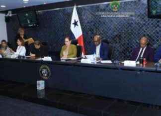 Decisión sobre el futuro de Mulino en manos de la Comisión de Credenciales decisin-sobre-el-futuro-de-mulino-en-manos-de-la-comisin-de-credenciales