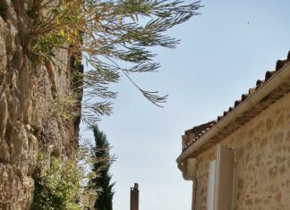 Title: «Exploring La Crítica de Panamá: Unveiling Its Impact on Culture and Media