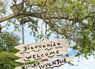 Unlock the Secrets of Tigo Panama: Your Ultimate Guide to Services and Deals