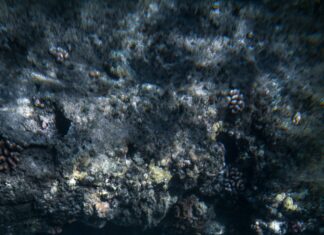 Unveiling the Truth: A Deep Dive into Critica Panama’s Latest Revelations