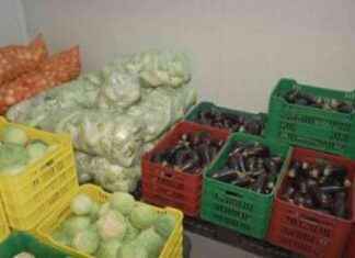 Preparación de ensalada de 5,000 libras gratis para celebrar aniversario de Merca Panamá preparacin-de-ensalada-de-5000-libras-gratis-para-celebrar-aniversario-de-merca-panam