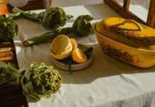 Agencias De Viajes En Panamá: Opciones Para Tu Próxima Aventura Agencias De Viajes En Panamá: Opciones Para Tu Próxima Aventura