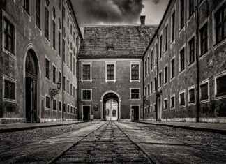 Alineaciones De Bayern Contra Real Madrid Tácticas Reveladas Tras El Silbato Alineaciones De Bayern Contra Real Madrid Tácticas Reveladas Tras El Silbato