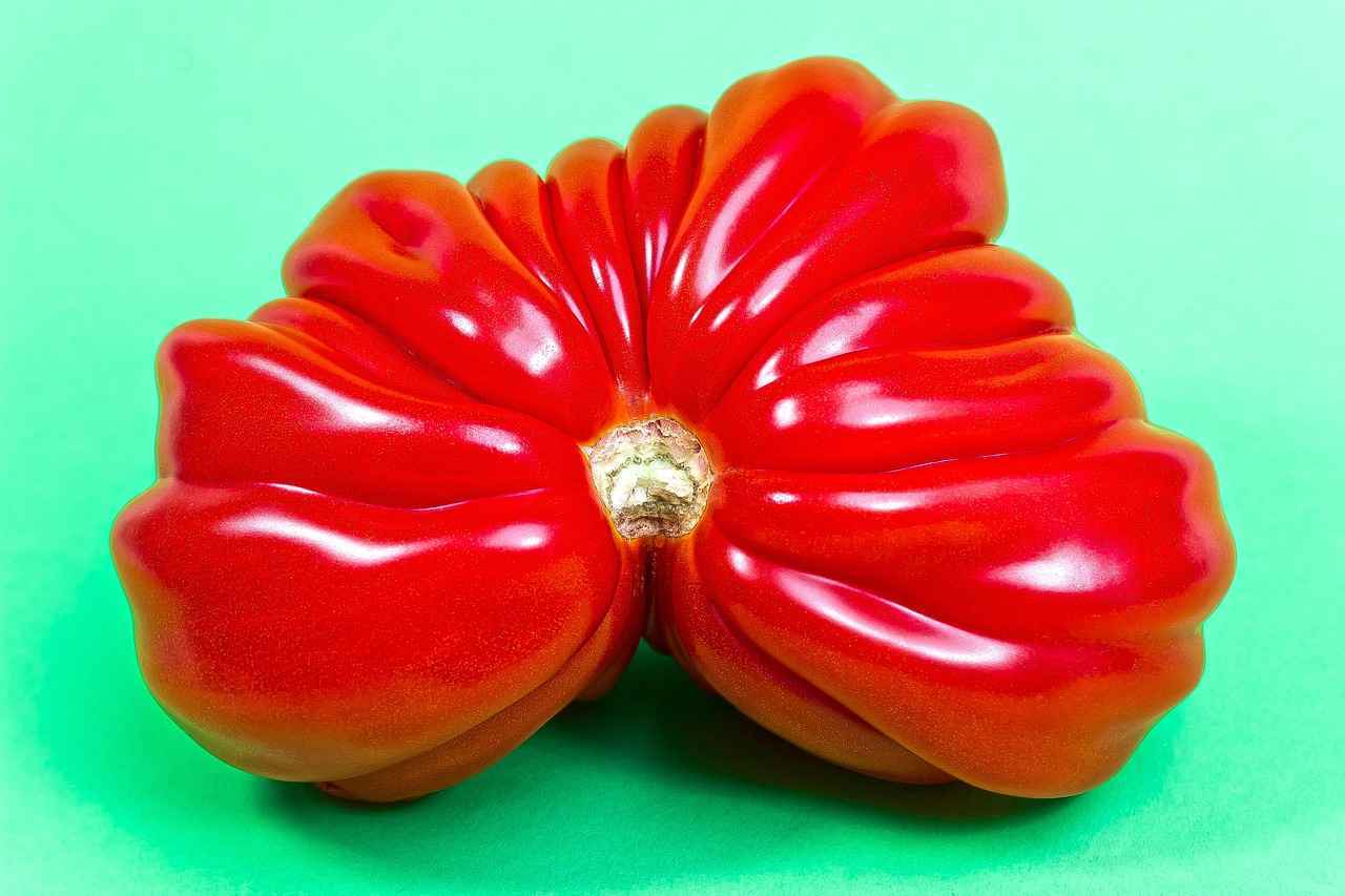 Reacciones de los Aficionados