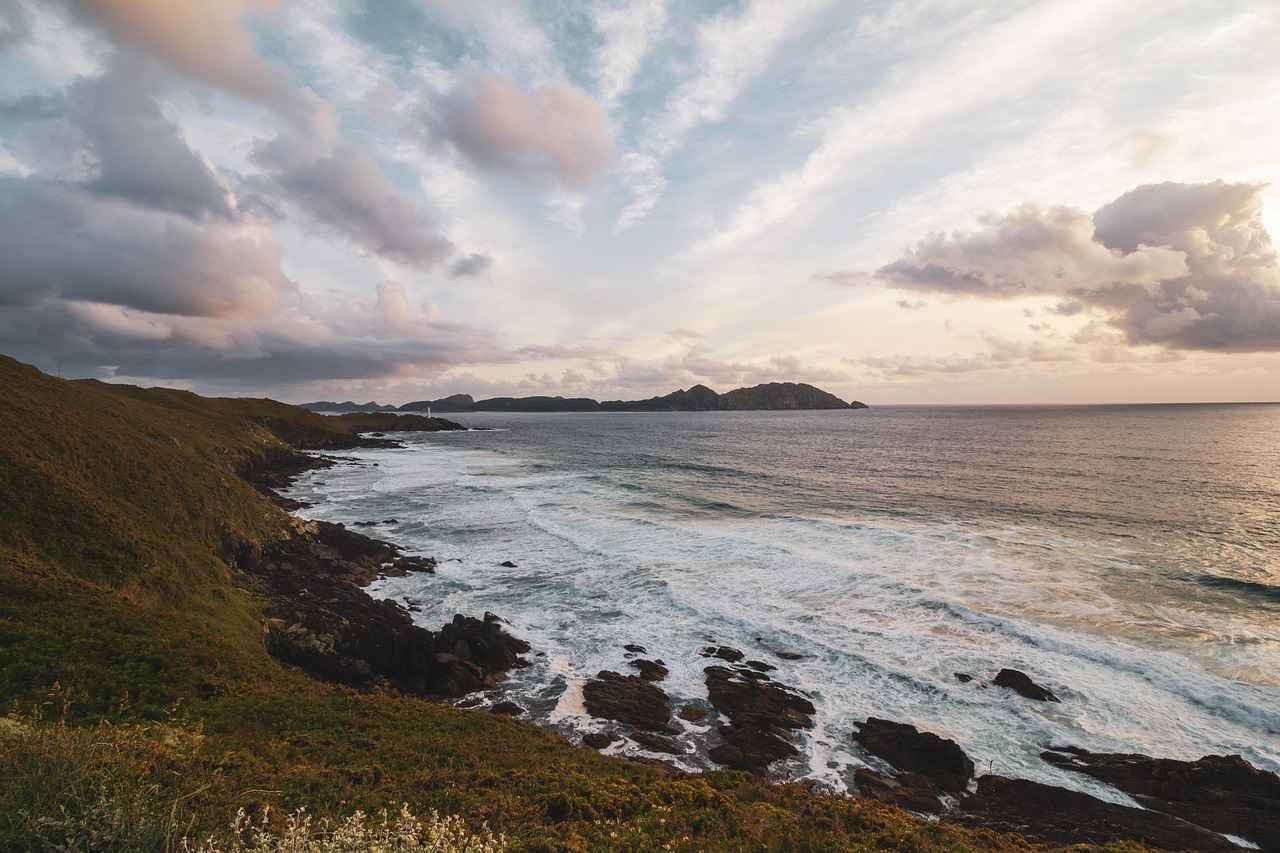 Expectativas de los Aficionados