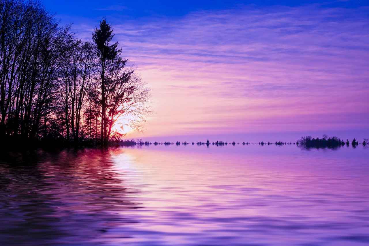 ¿Qué opinan los expertos sobre la alineación del Celta?