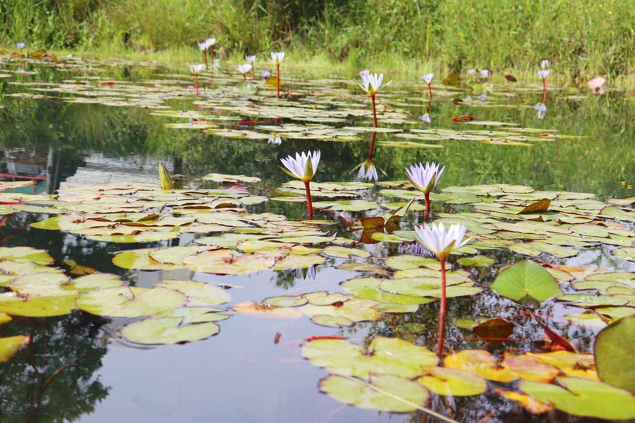 ¿Qué lecciones puede aprender el Celta de este enfrentamiento?