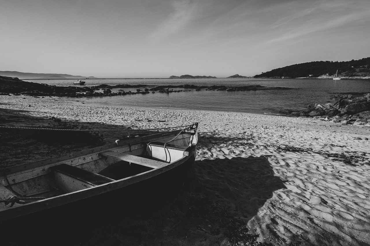 ¿Quiénes son los jugadores clave del Celta de Vigo?