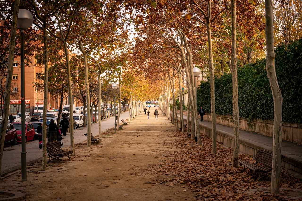 ¿Cómo ha evolucionado la rivalidad entre Barcelona y Atlético?