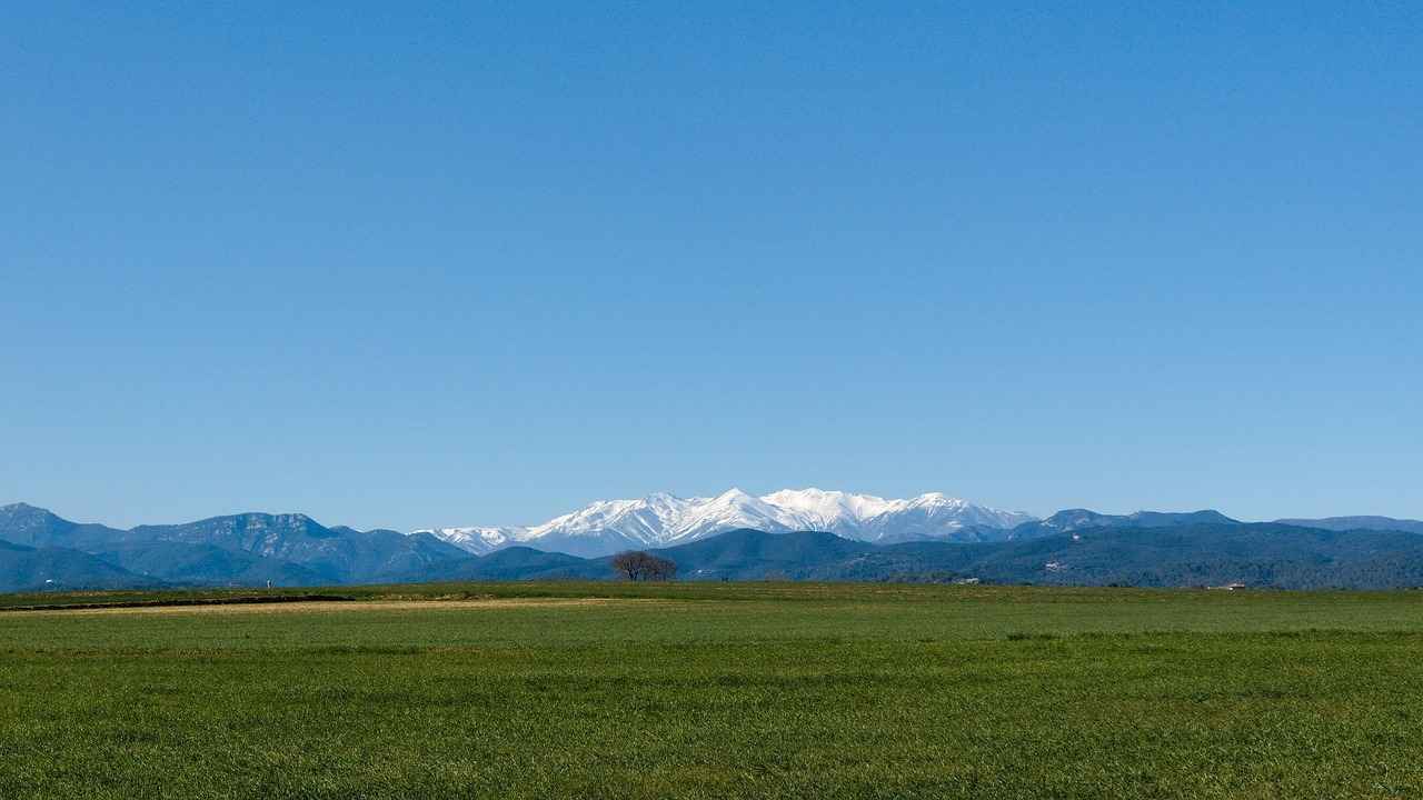 Estadísticas Clave de los Encuentros