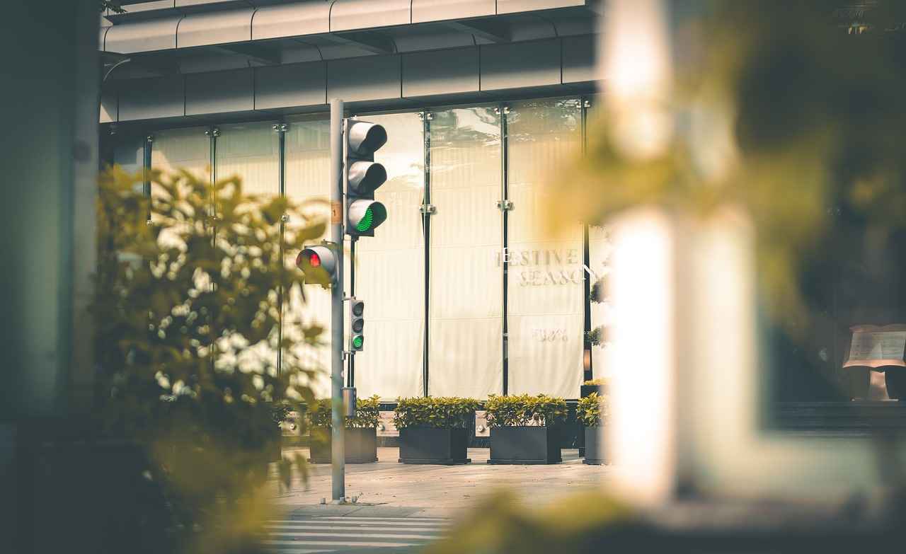 El Desarrollo del Partido