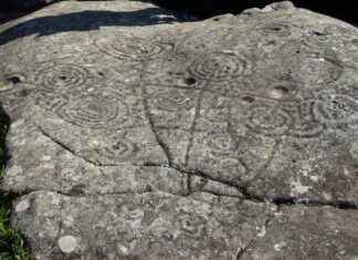 Alineaciones De Pontevedra C.F. Contra Getafe CF Historia En Formación Alineaciones De Pontevedra C.F. Contra Getafe CF Historia En Formación