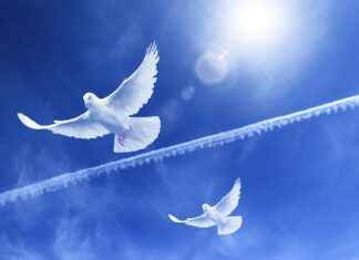 Alineaciones De Rayo Vallecano Contra FC Barcelona Cambios Decisivos Alineaciones De Rayo Vallecano Contra FC Barcelona Cambios Decisivos