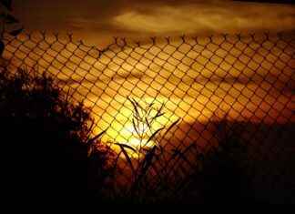 Alineaciones De Rayo Vallecano Contra Fútbol Club Barcelona Que Rompieron Esquemas Alineaciones De Rayo Vallecano Contra Fútbol Club Barcelona Que Rompieron Esquemas