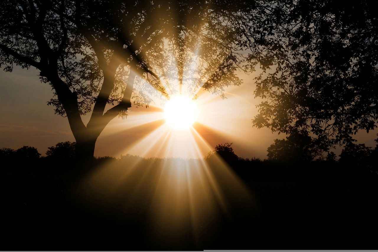 Contexto Histórico de los Enfrentamientos