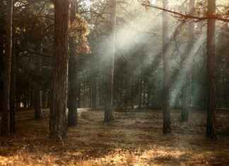 Alineaciones De Rayo Vallecano Contra Osasuna Con Cambios Sorprendentes Alineaciones De Rayo Vallecano Contra Osasuna Con Cambios Sorprendentes