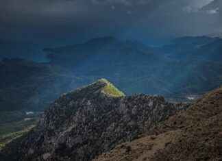 Alineaciones de Rayo Vallecano contra Osasuna Confirmed by Coaches Alineaciones de Rayo Vallecano contra Osasuna Confirmed by Coaches