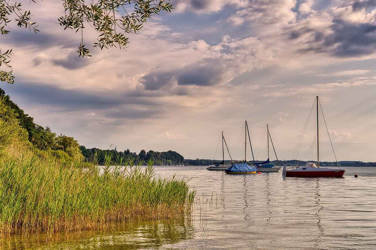 Rayo Vallecano: Un Resumen de la Temporada