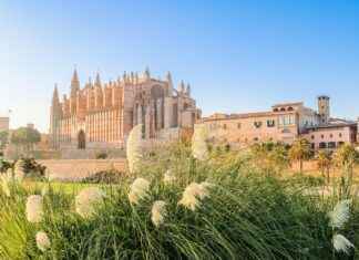 Alineaciones De R.C.D. Mallorca Contra Athletic Club Que Cambiaron El Ritmo Del Partido Alineaciones De R.C.D. Mallorca Contra Athletic Club Que Cambiaron El Ritmo Del Partido