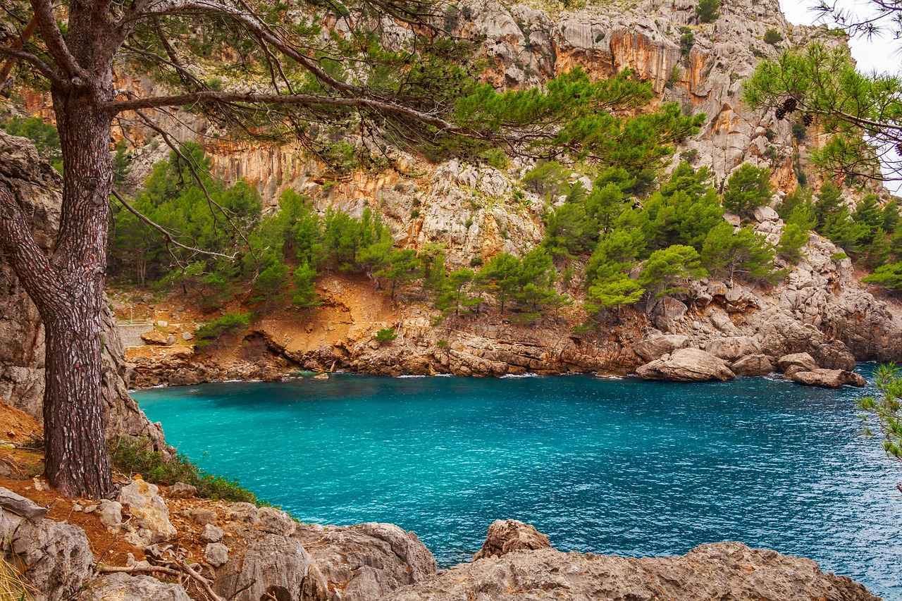 Alineaciones de R.C.D. Mallorca contra FC Barcelona: Surprising Inclusions 5 ¿Qué sorpresas han surgido en los últimos encuentros?