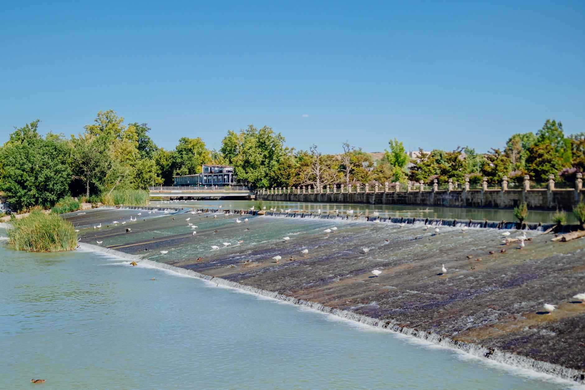 ¿Cómo se prepara el Borussia Dortmund para el partido?