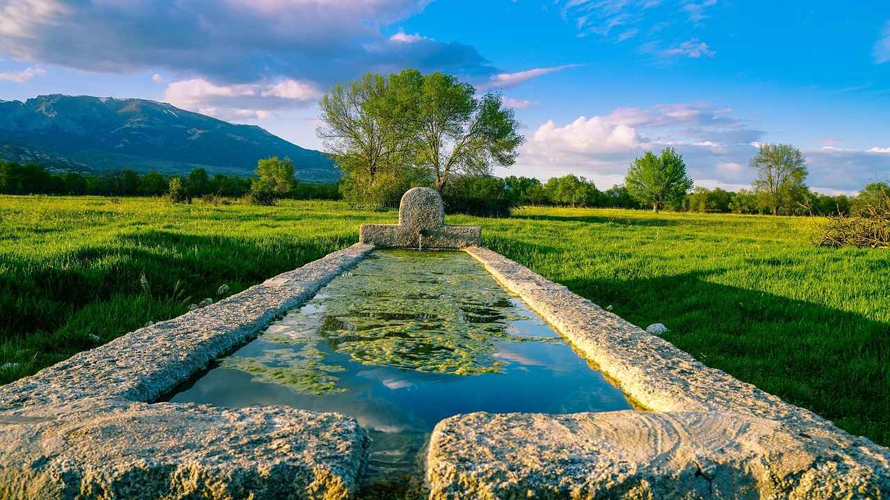 Contexto del Partido