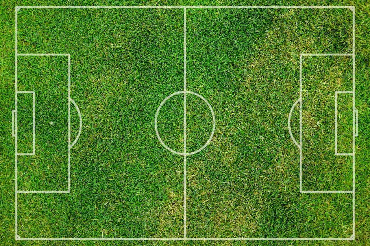 Expectativas y Predicciones